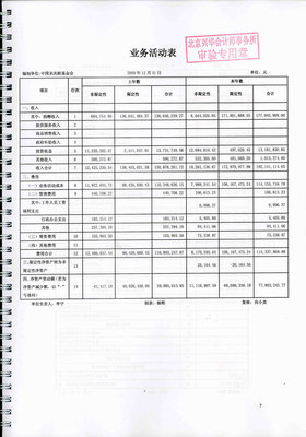 2009年度审计报告