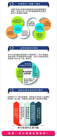 重磅!图解2019审计工作报告