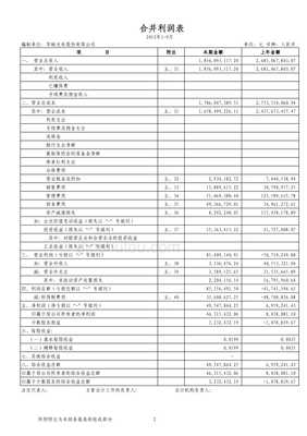 华映光电股份审计报告